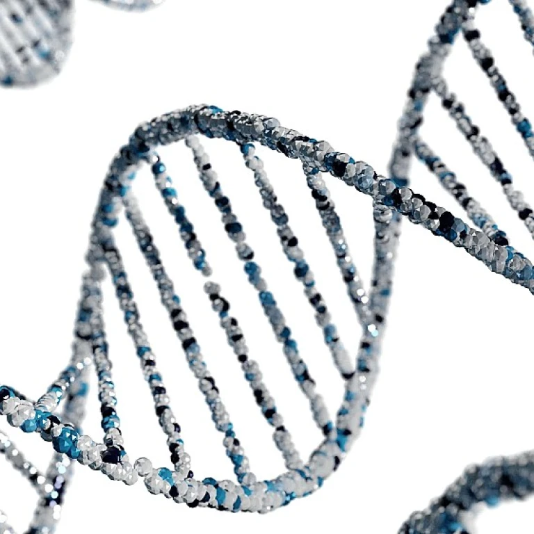 Le rôle crucial de l'ingénieur en pharmacie dans l'industrie biotechnologique