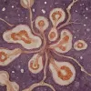 Comprendre la gestation du rat : clés biologiques et enjeux pour la recherche